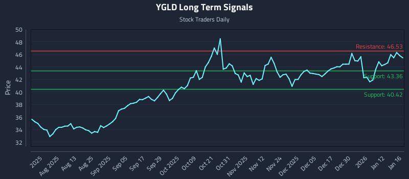 YGLD Long Term Analysis for January 19 2026