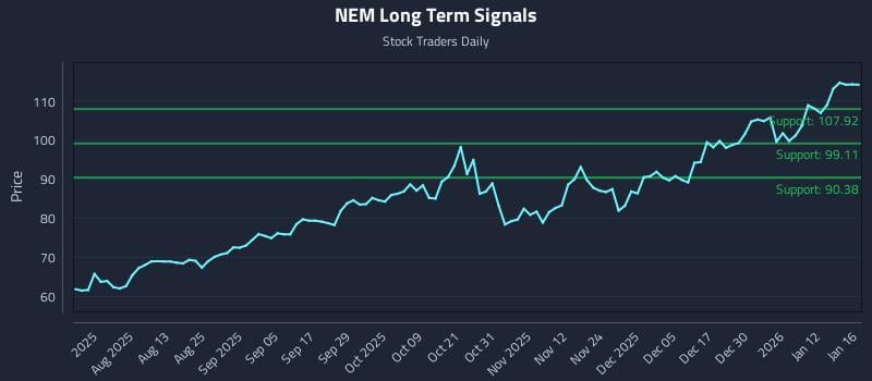 NEM Long Term Analysis for January 19 2026