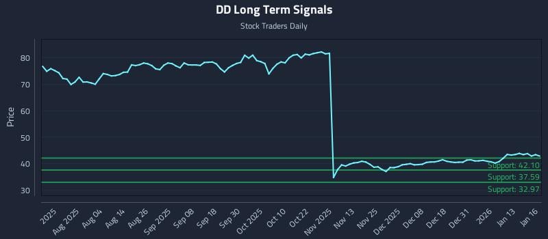 DD Long Term Analysis for January 20 2026 DD Long Term Analysis for January 20 2026