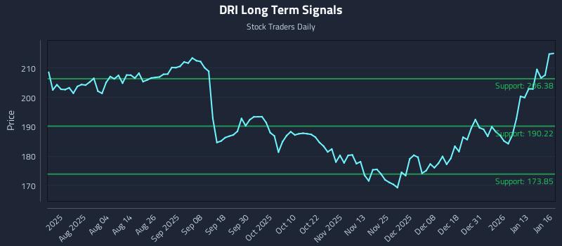 DRI Long Term Analysis for January 20 2026