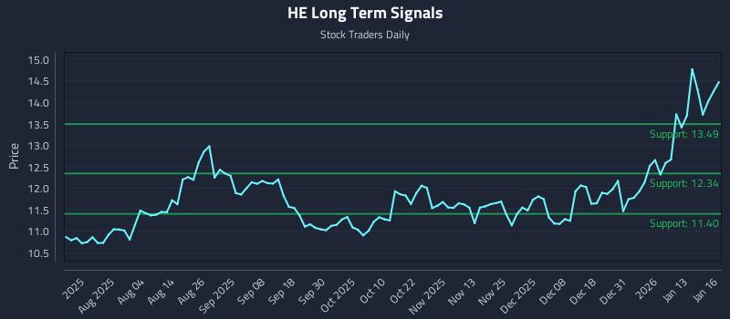 HE Long Term Analysis for January 20 2026