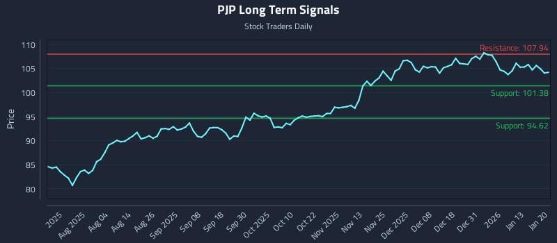 PJP Long Term Analysis for January 20 2026