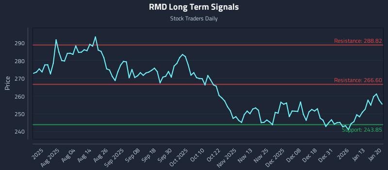 RMD Long Term Analysis for January 20 2026