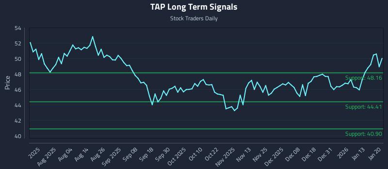 TAP Long Term Analysis for January 20 2026