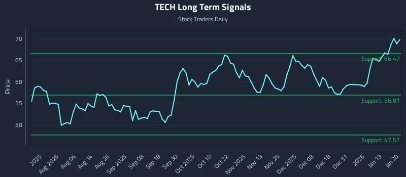 TECH Long Term Analysis for January 20 2026