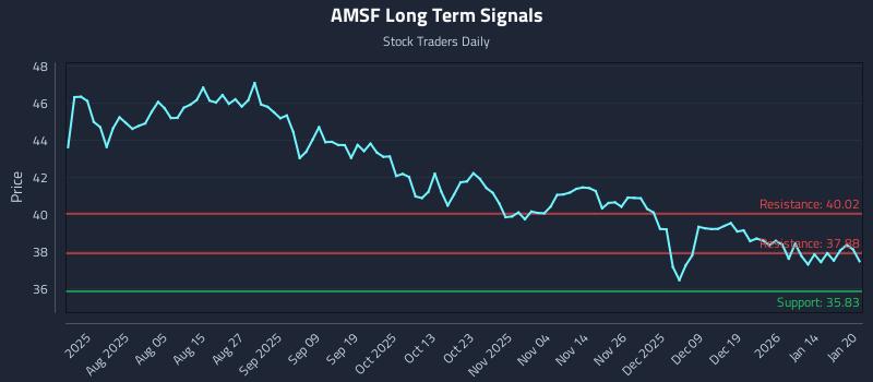 AMSF Long Term Analysis for January 21 2026