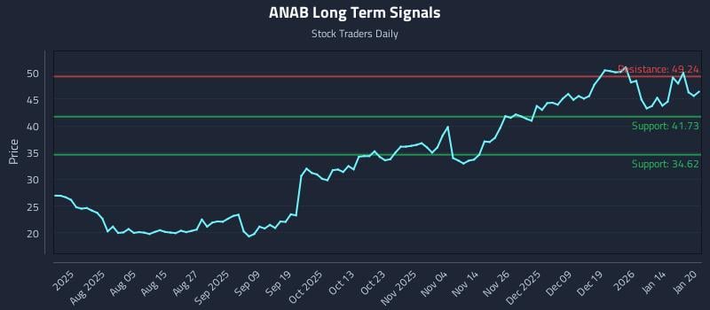 ANAB Long Term Analysis for January 21 2026