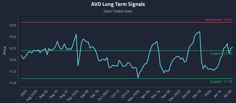 AVO Long Term Analysis for January 21 2026