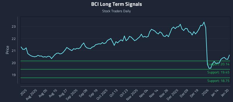BCI Long Term Analysis for January 21 2026