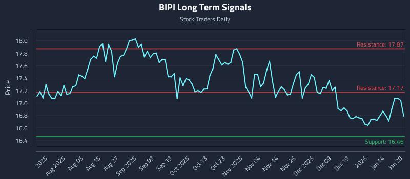 BIPI Long Term Analysis for January 21 2026