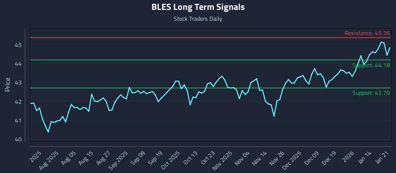 BLES Long Term Analysis for January 21 2026