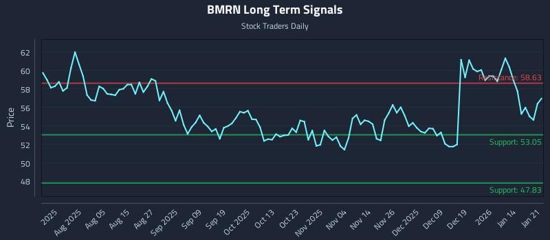 BMRN Long Term Analysis for January 21 2026 BMRN Long Term Analysis for January 21 2026