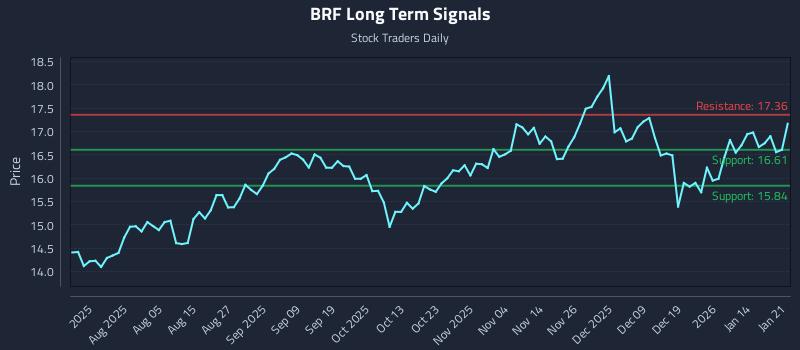 BRF Long Term Analysis for January 21 2026