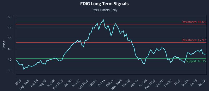 FDIG Long Term Analysis for January 22 2026