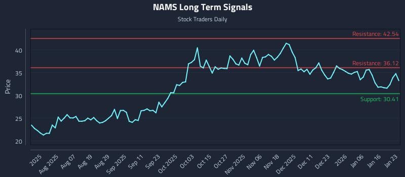 NAMS Long Term Analysis for January 24 2026