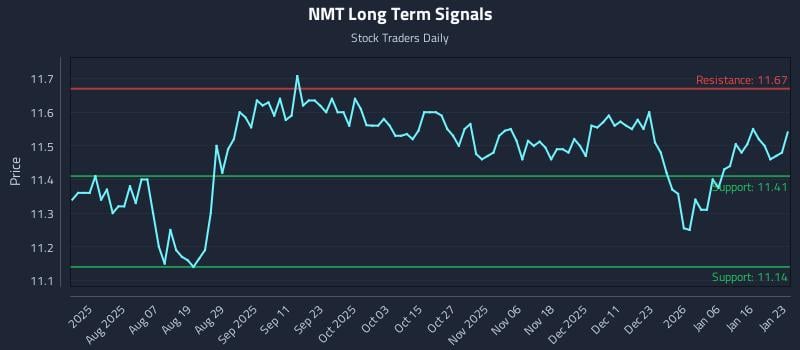 NMT Long Term Analysis for January 24 2026