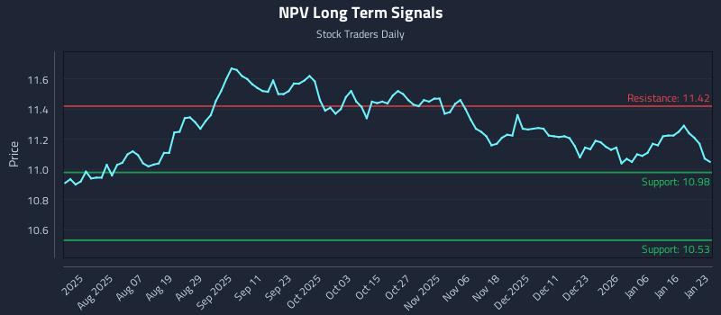 NPV Long Term Analysis for January 24 2026
