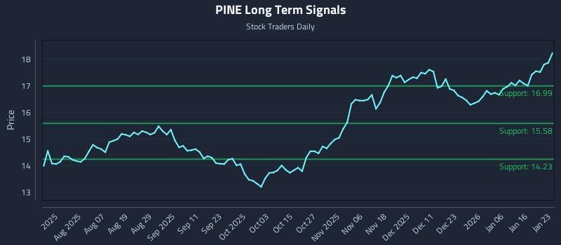 PINE Long Term Analysis for January 24 2026