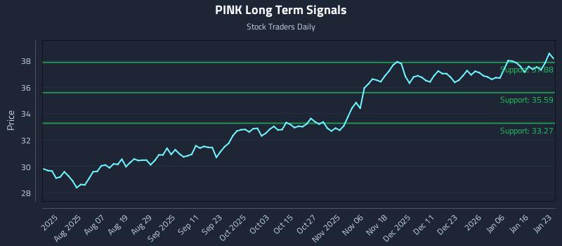 PINK Long Term Analysis for January 24 2026