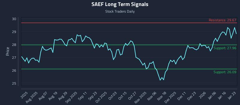 SAEF Long Term Analysis for January 25 2026