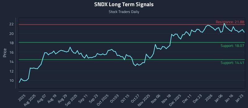 SNDX Long Term Analysis for January 25 2026