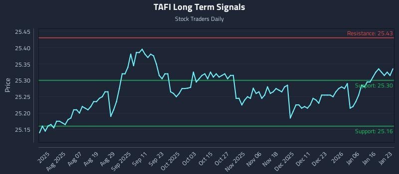 TAFI Long Term Analysis for January 25 2026