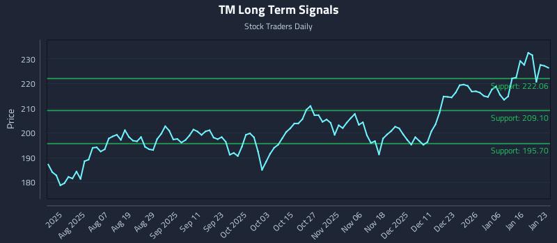 TM Long Term Analysis for January 25 2026