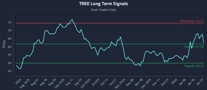 TREE Long Term Analysis for January 25 2026