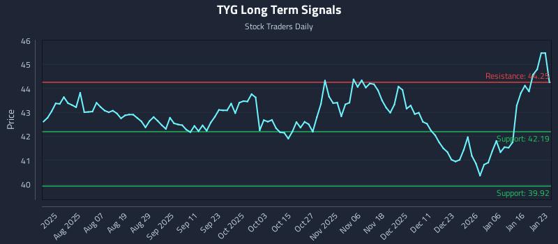 TYG Long Term Analysis for January 25 2026