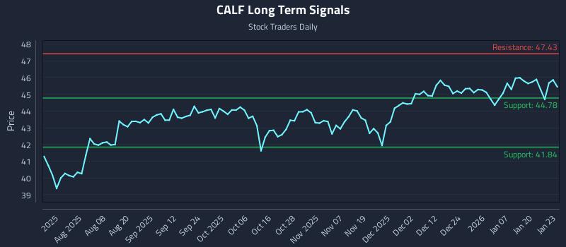 CALF Long Term Analysis for January 26 2026