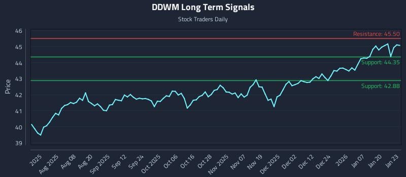 DDWM Long Term Analysis for January 26 2026