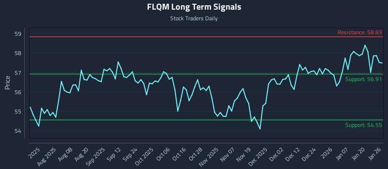 FLQM Long Term Analysis for January 26 2026