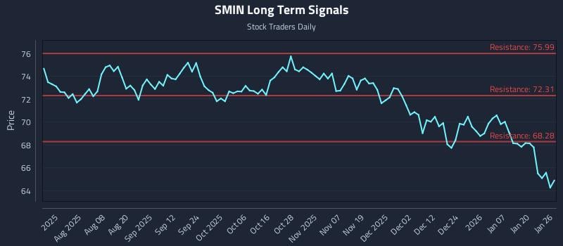 SMIN Long Term Analysis for January 26 2026 SMIN Long Term Analysis for January 26 2026
