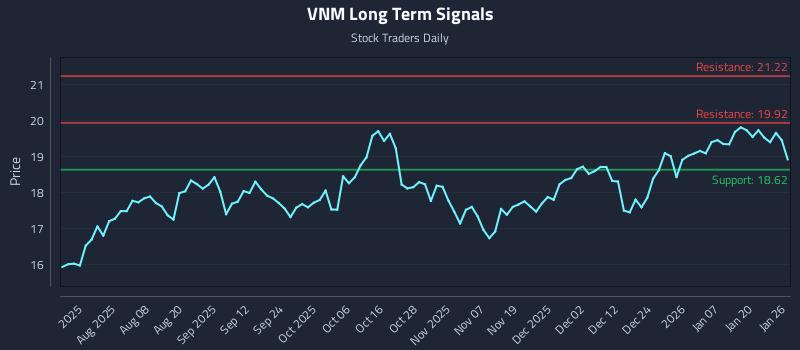 VNM Long Term Analysis for January 26 2026