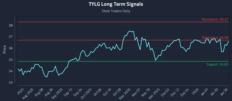 TYLG Long Term Analysis for January 26 2026