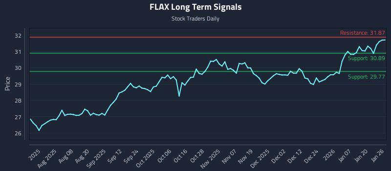 FLAX Long Term Analysis for January 26 2026