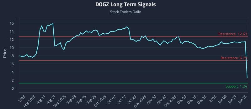 DOGZ Long Term Analysis for January 27 2026
