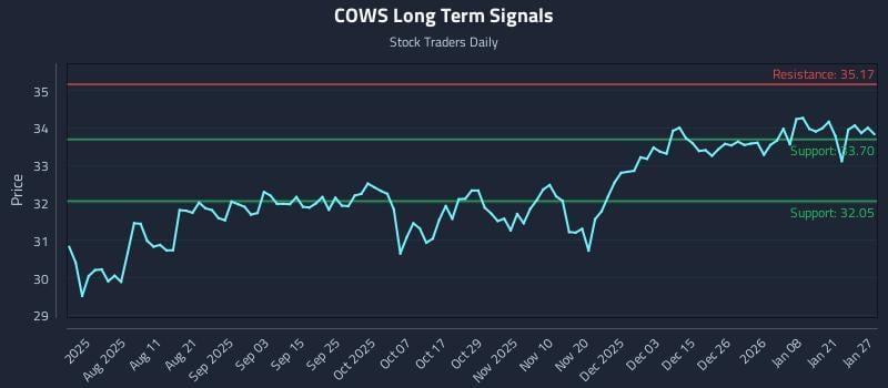 COWS Long Term Analysis for January 27 2026 COWS Long Term Analysis for January 27 2026