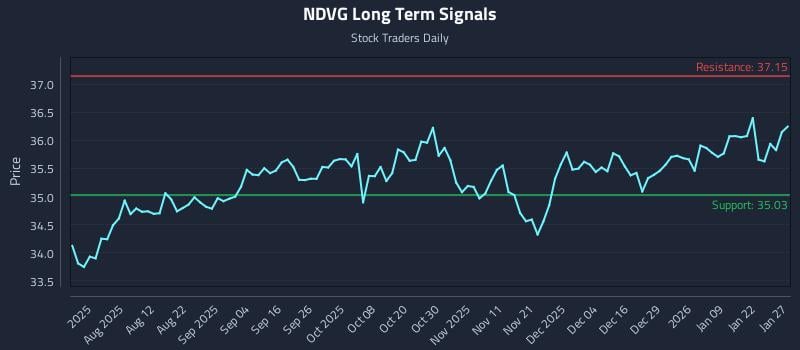 NDVG Long Term Analysis for January 28 2026 NDVG Long Term Analysis for January 28 2026