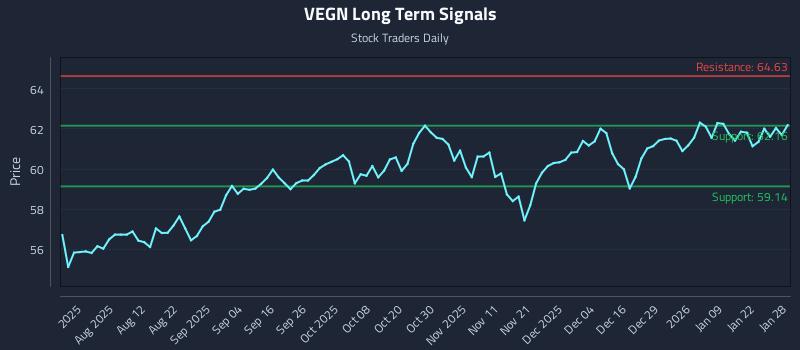 VEGN Long Term Analysis for January 28 2026
