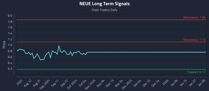 NEUE Long Term Analysis for January 29 2026