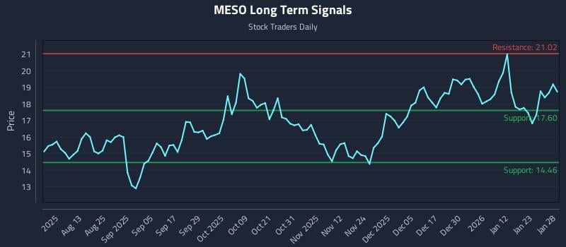 MESO Long Term Analysis for January 29 2026 MESO Long Term Analysis for January 29 2026