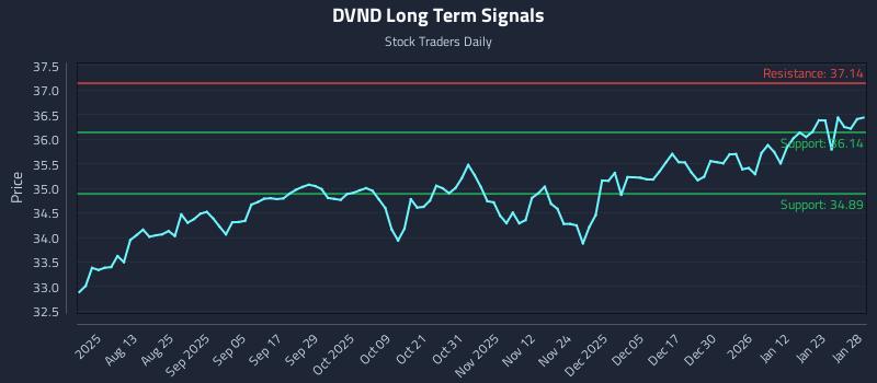 DVND Long Term Analysis for January 29 2026 DVND Long Term Analysis for January 29 2026