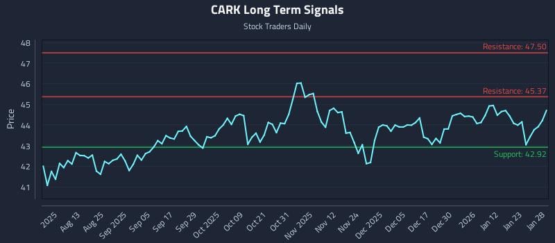 CARK Long Term Analysis for January 29 2026