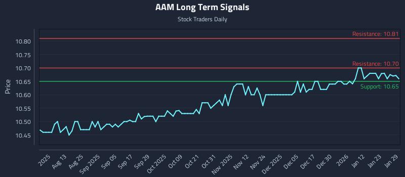 AAM Long Term Analysis for January 29 2026 AAM Long Term Analysis for January 29 2026