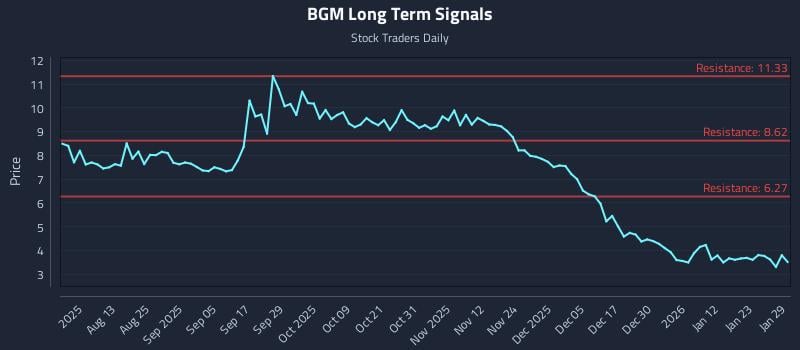 BGM Long Term Analysis for January 29 2026