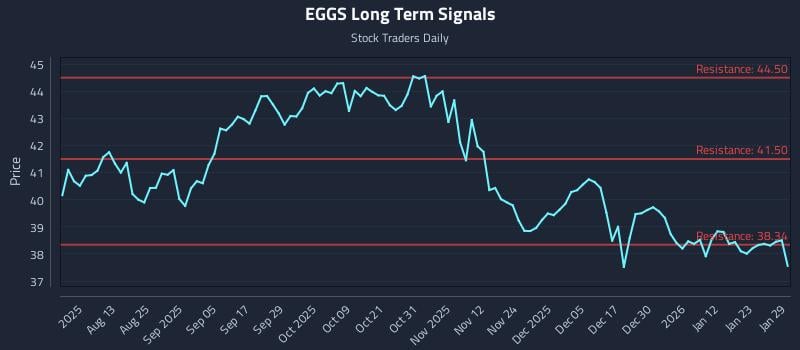 EGGS Long Term Analysis for January 29 2026
