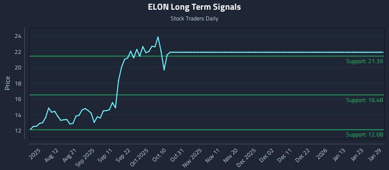 ELON Long Term Analysis for January 29 2026
