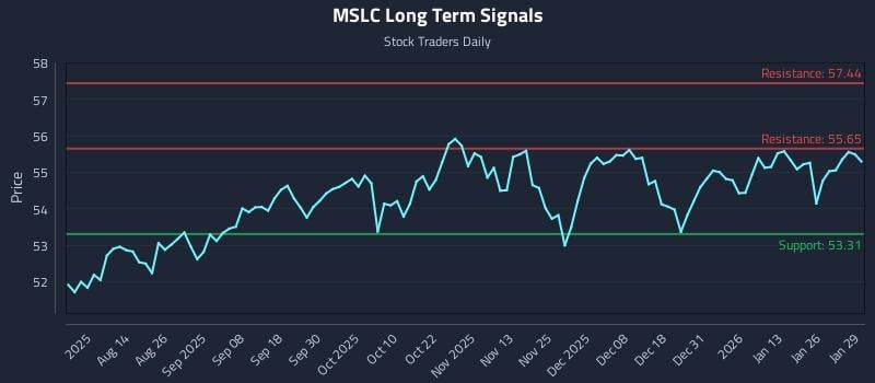 MSLC Long Term Analysis for January 30 2026