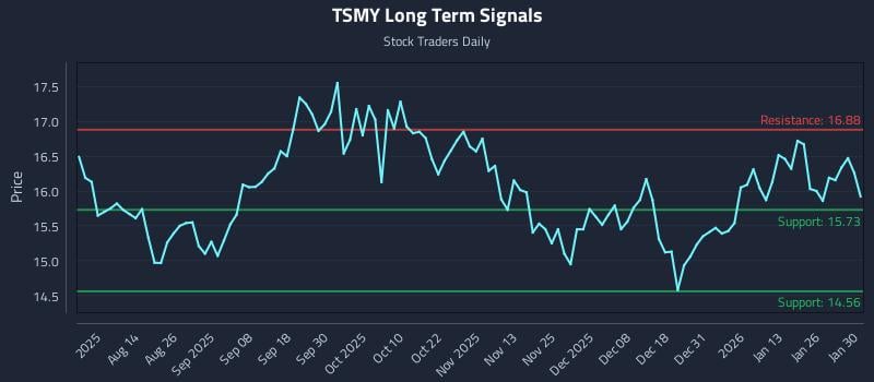 TSMY Long Term Analysis for January 30 2026 TSMY Long Term Analysis for January 30 2026